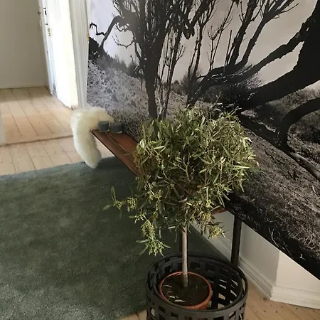 Aday - Delightful In The Heart Of Apartment *